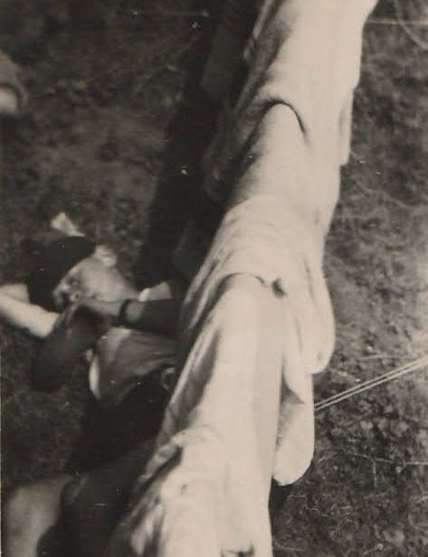 Esbeek 1936