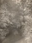 Esbeek 1936