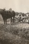 Esbeek 1936