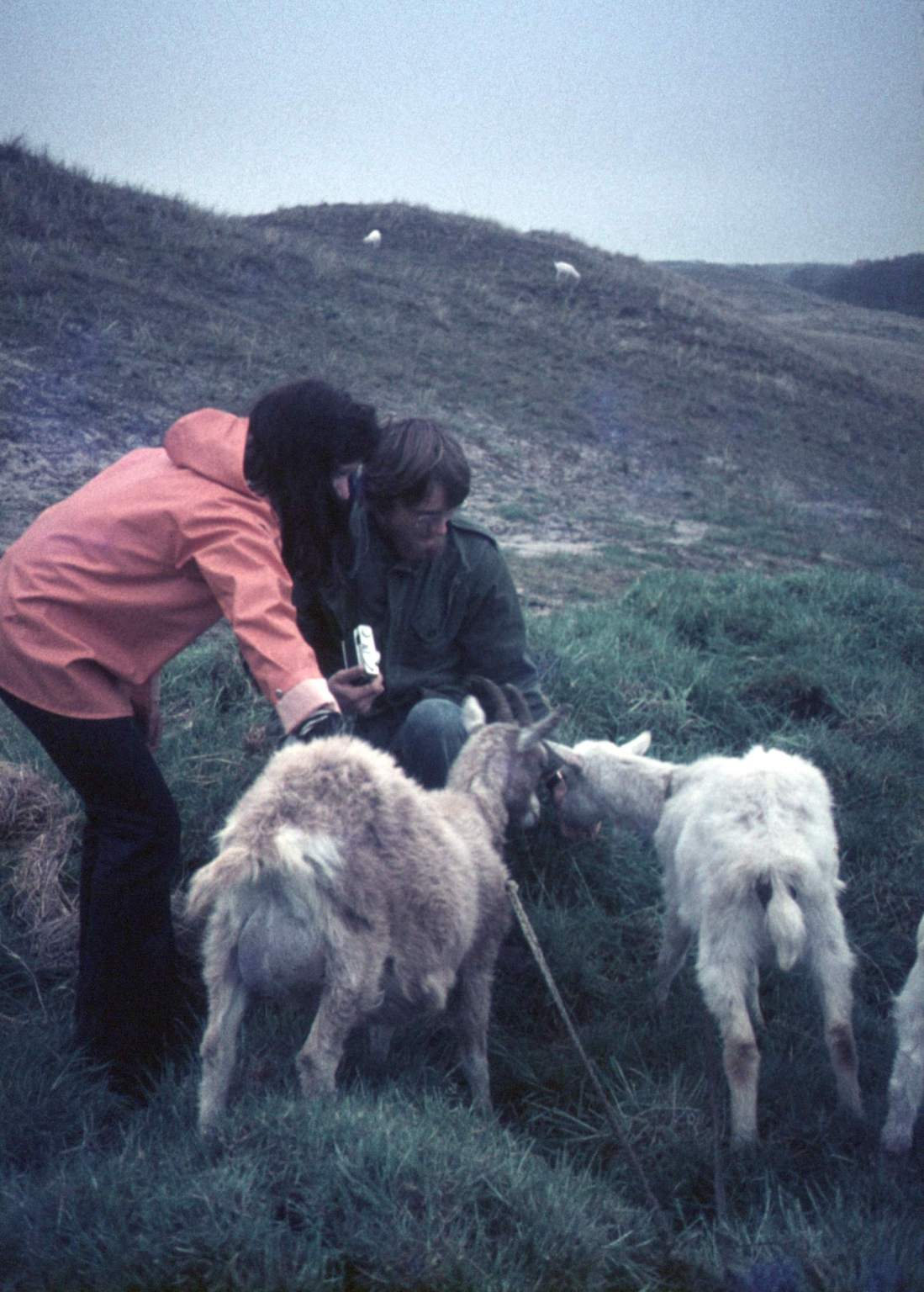 1975-2-stam-terschelling-21