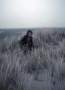 1975-2-stam-terschelling-19