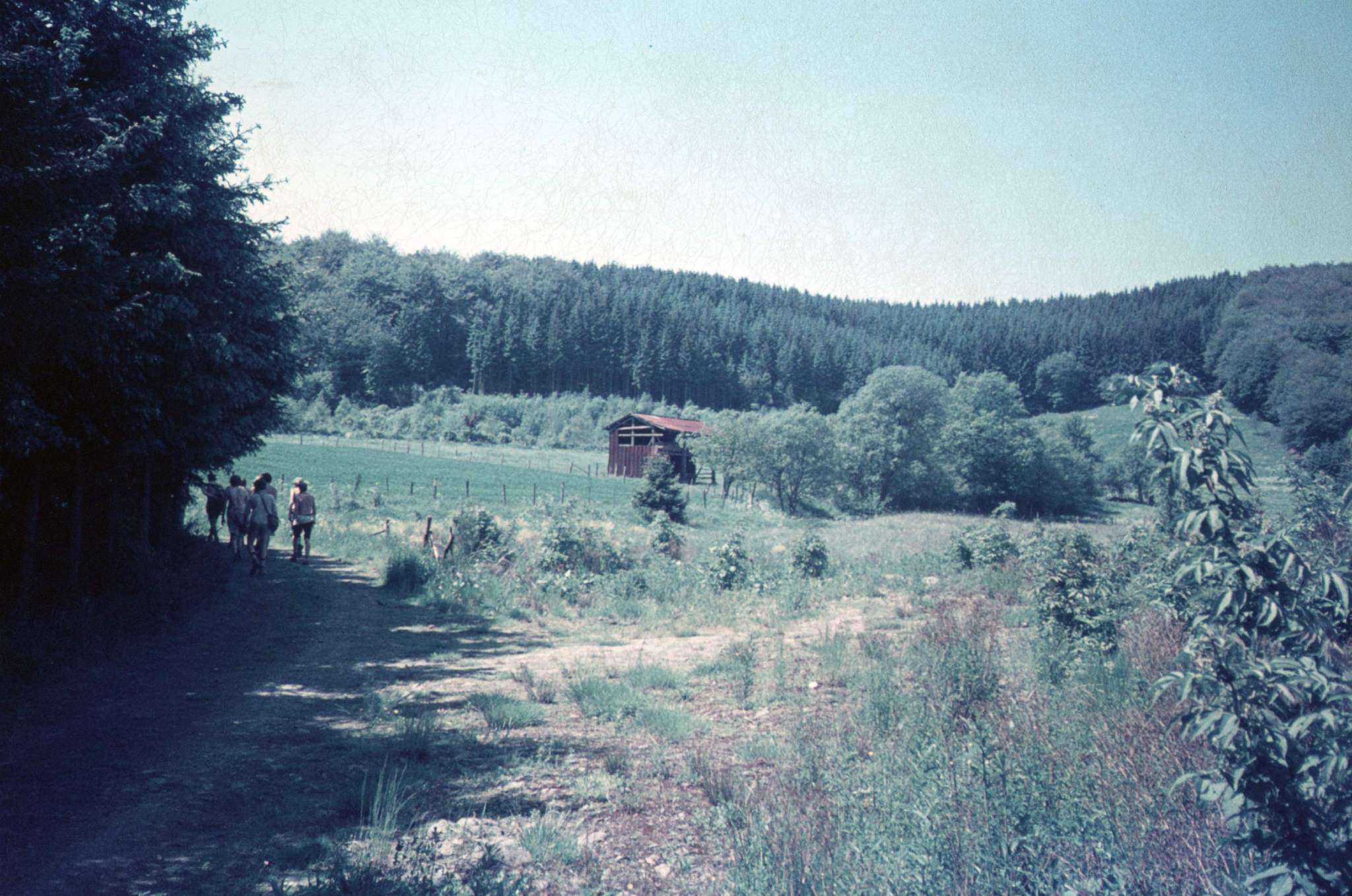 1975-rowans-zomerkamp-23