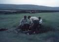 pennine-1-39