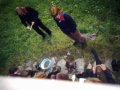 Schoonoord Adelboden 28/06-11/07 1980