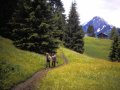 Schoonoord Adelboden 28/06-11/07 1980
