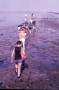 1984-wadlopen-rowans-15