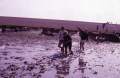 1984-wadlopen-rowans-16