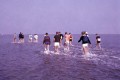 1984-wadlopen-rowans-20