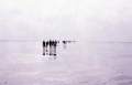 1984-wadlopen-rowans-28