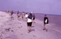 1984-wadlopen-rowans-29