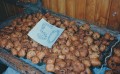 1991-12-oliebollen-18