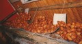 1993-12-oliebollen-24