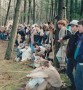 1995-04-dsw-17