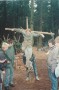 1995-04-dsw-33