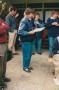 1995-06-logokeuze-13