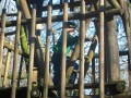 2002-11-welpenweekend-78