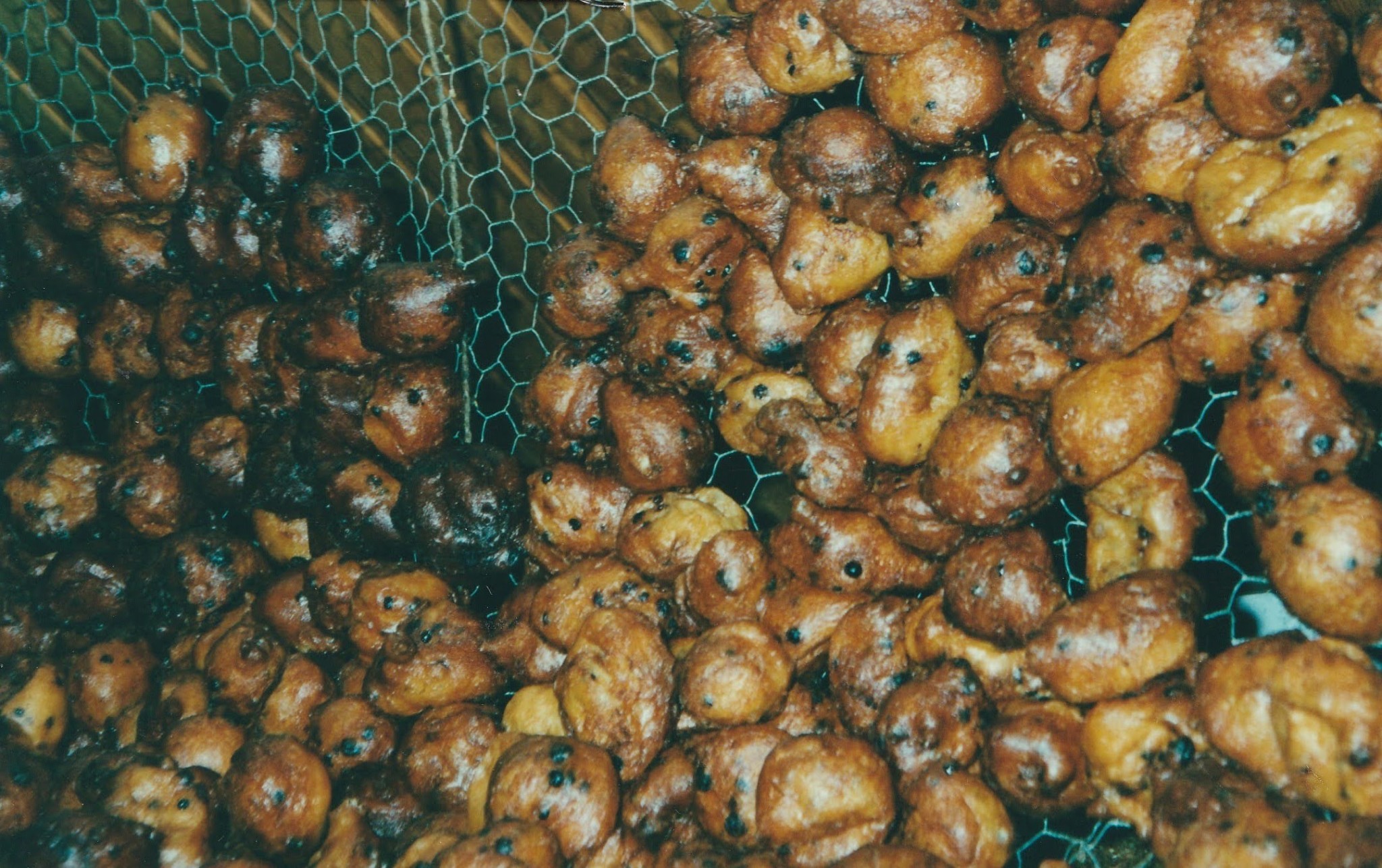2000-12-oliebollen-23
