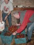 2000-12-oliebollen-21