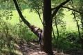 2526-welpen-zoka-dag1-effe-wat-rust-pakken