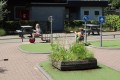 2526-welpen-zoka-dag2-gingen-ze-proberen-om-aan-de-verkeers-regels-te-houden