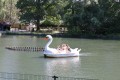2526-welpen-zoka-dag2-hier-gingen-ze-effe-varen