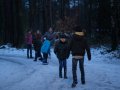 Winterfestijn