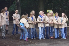 overvliegen