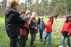 scoutingwedstrijden