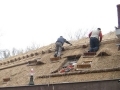 755_4168235ba39c1810d599dd4286dbbaec