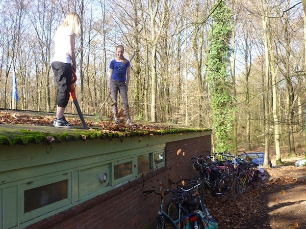 groep_1011-232