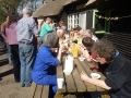 groep_1011-234