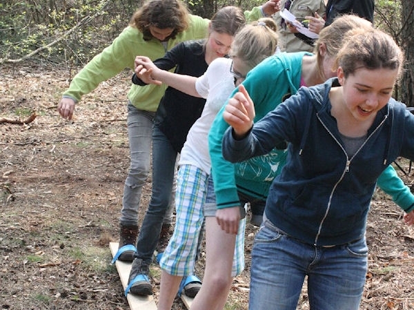groep_1011-341