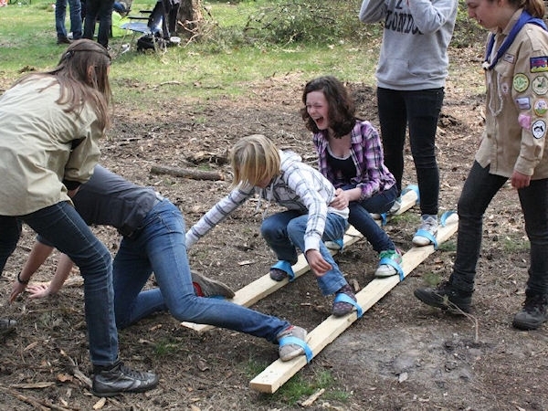 groep_1011-342