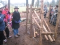 groep_1011-231