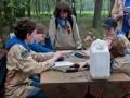groep_1011-311