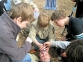 groep_1011-338