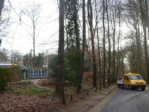 groep_1112-113