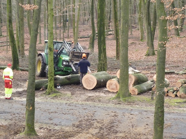 groep_1112-118