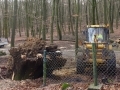 groep_1112-124
