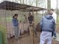 groep_1112-241