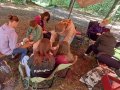 zomerkamp