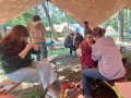 zomerkamp
