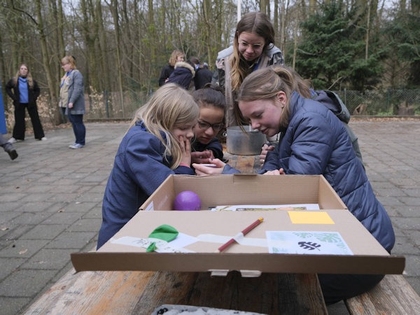 p-2021-216