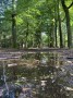 resized_img_2476