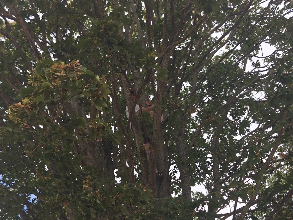 img20260727120553