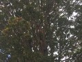 img20260727120553