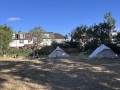 img_1981