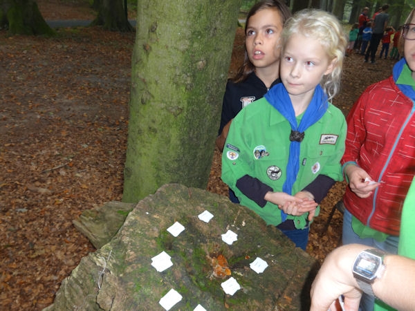 groep 1415-056
