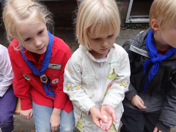 groep 1415-064