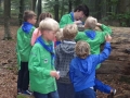 groep 1415-061